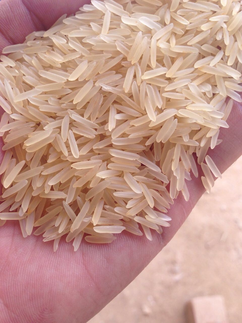 Gạo Basmati Vàng Ấn Độ